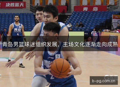 青岛男篮球迷组织发展，主场文化逐渐走向成熟